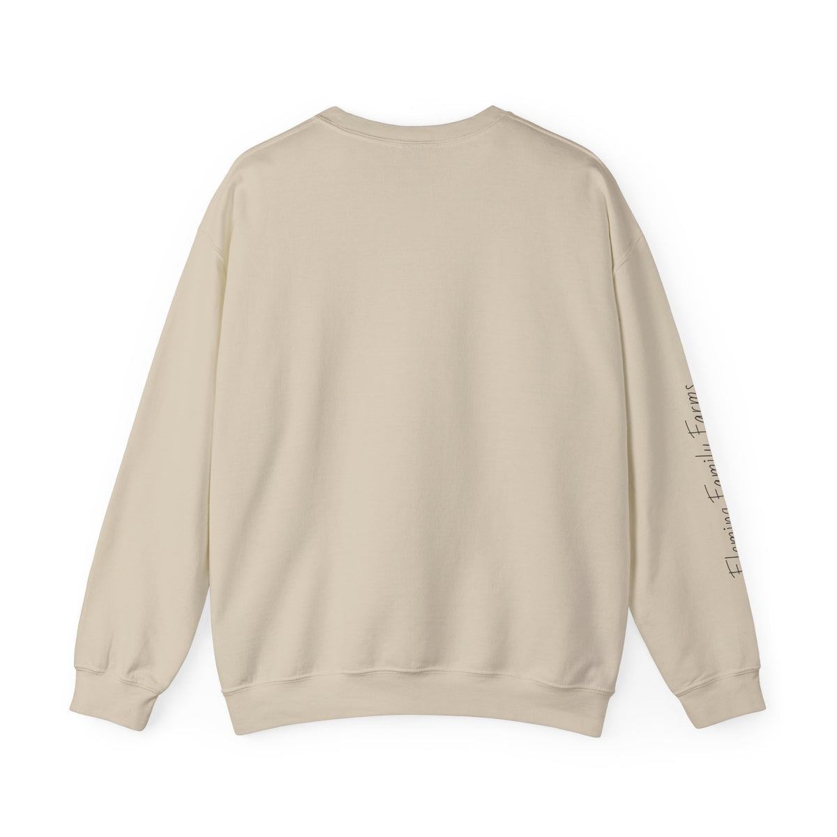 Desert UFO Abduction Crewneck Sweatshirt | Retro Southwestern Alien Graphic