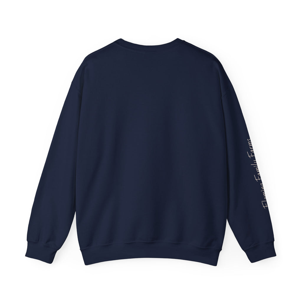 Desert UFO Abduction Crewneck Sweatshirt | Retro Southwestern Alien Graphic