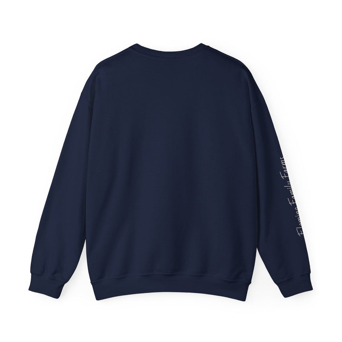 Desert UFO Abduction Crewneck Sweatshirt | Retro Southwestern Alien Graphic