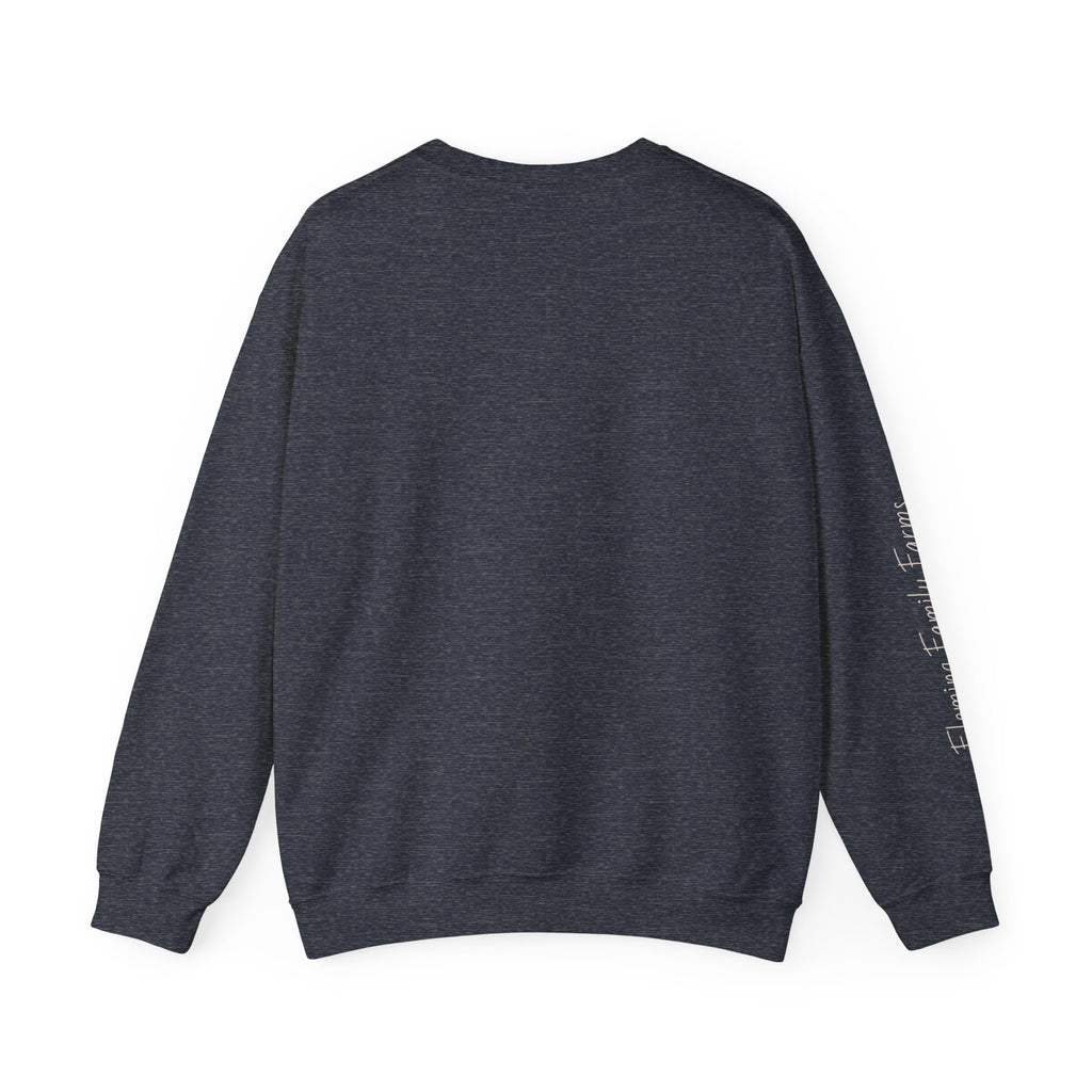 Desert UFO Abduction Crewneck Sweatshirt | Retro Southwestern Alien Graphic