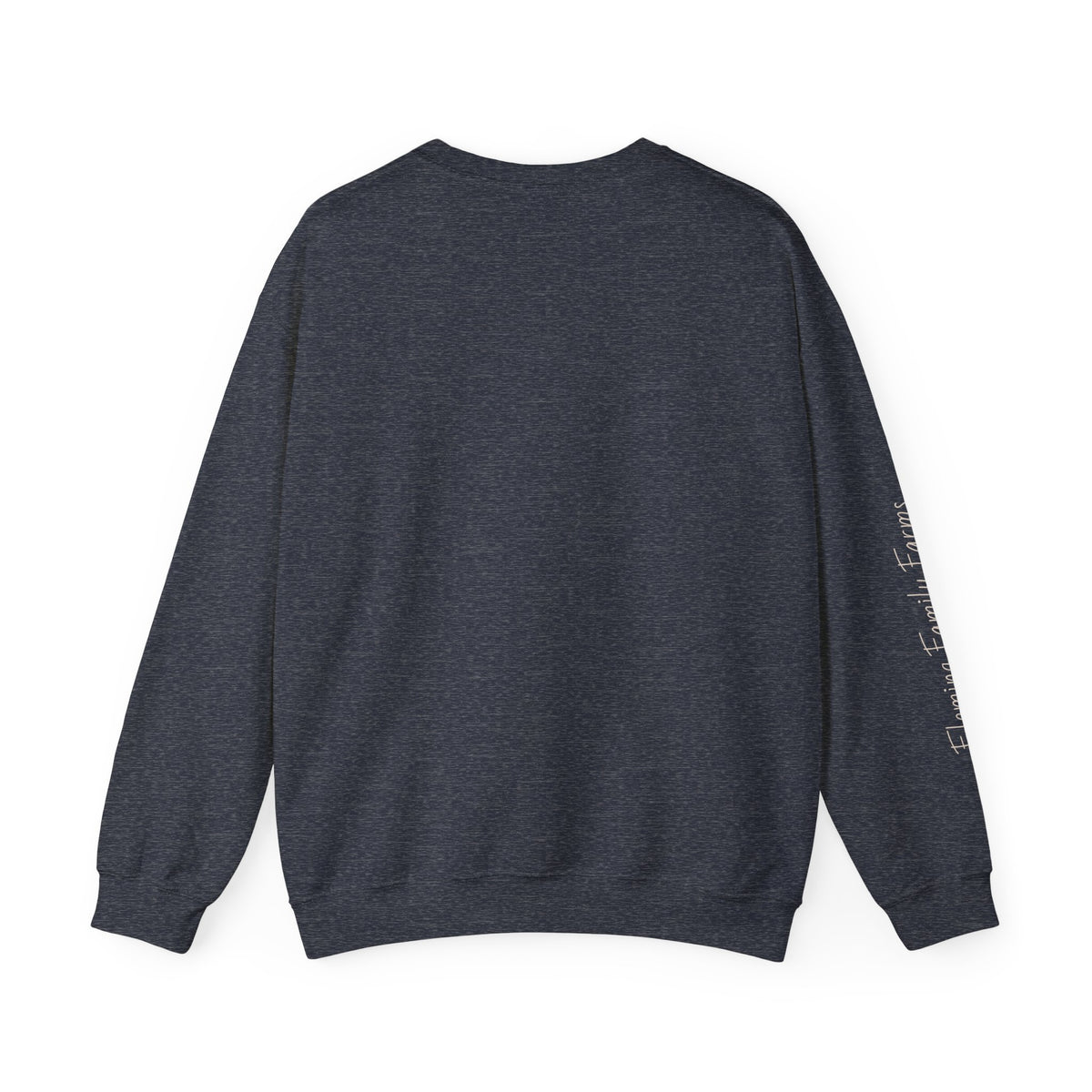 Desert UFO Abduction Crewneck Sweatshirt | Retro Southwestern Alien Graphic