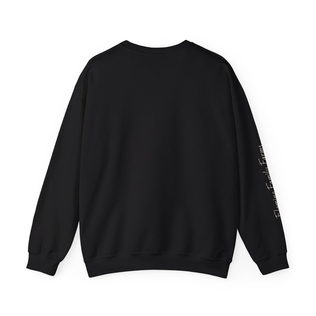 Desert UFO Abduction Crewneck Sweatshirt | Retro Southwestern Alien Graphic