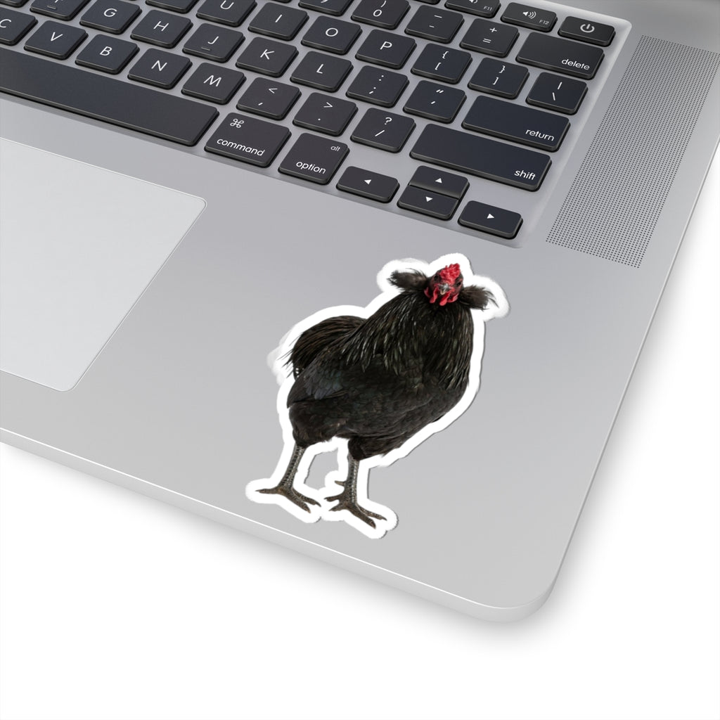 Black Chicken Sticker — Realistic Hen Kiss-Cut Vinyl Decal for Laptops & Water Bottles