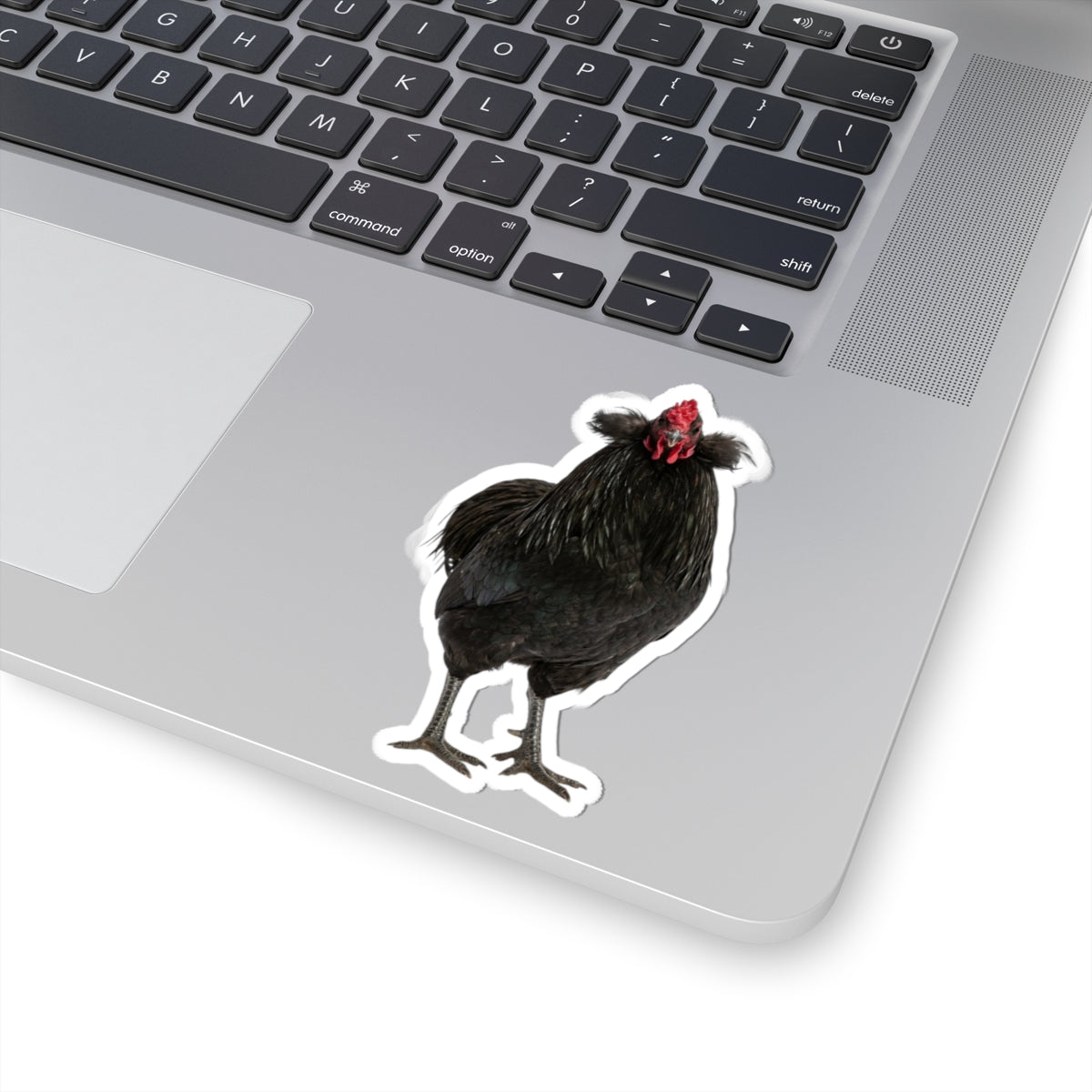 Black Chicken Sticker — Realistic Hen Kiss-Cut Vinyl Decal for Laptops & Water Bottles