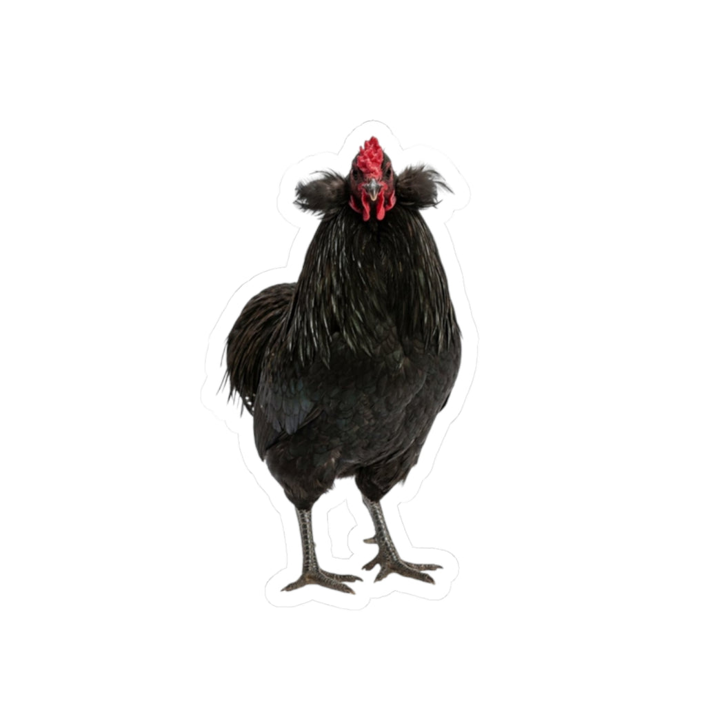 Black Chicken Sticker — Realistic Hen Kiss-Cut Vinyl Decal for Laptops & Water Bottles