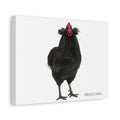 Araucana Chicken Canvas Print — Matte Stretched Wall Art