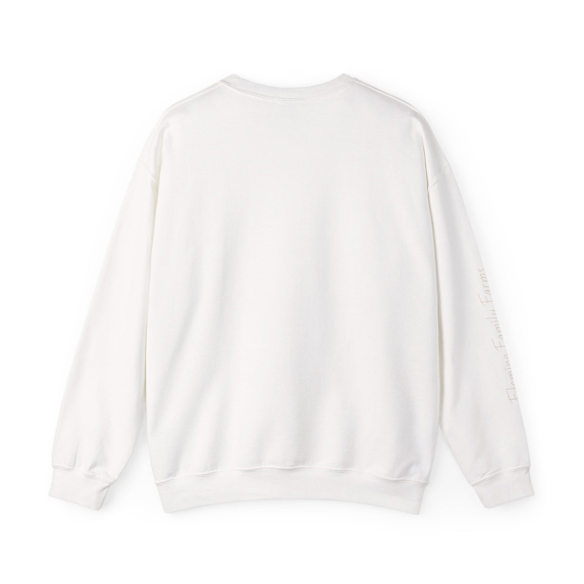 Desert UFO Abduction Crewneck Sweatshirt | Retro Southwestern Alien Graphic