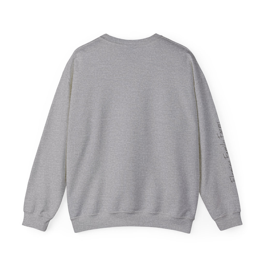 Desert UFO Abduction Crewneck Sweatshirt | Retro Southwestern Alien Graphic