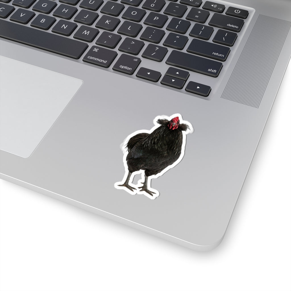 Black Chicken Sticker — Realistic Hen Kiss-Cut Vinyl Decal for Laptops & Water Bottles