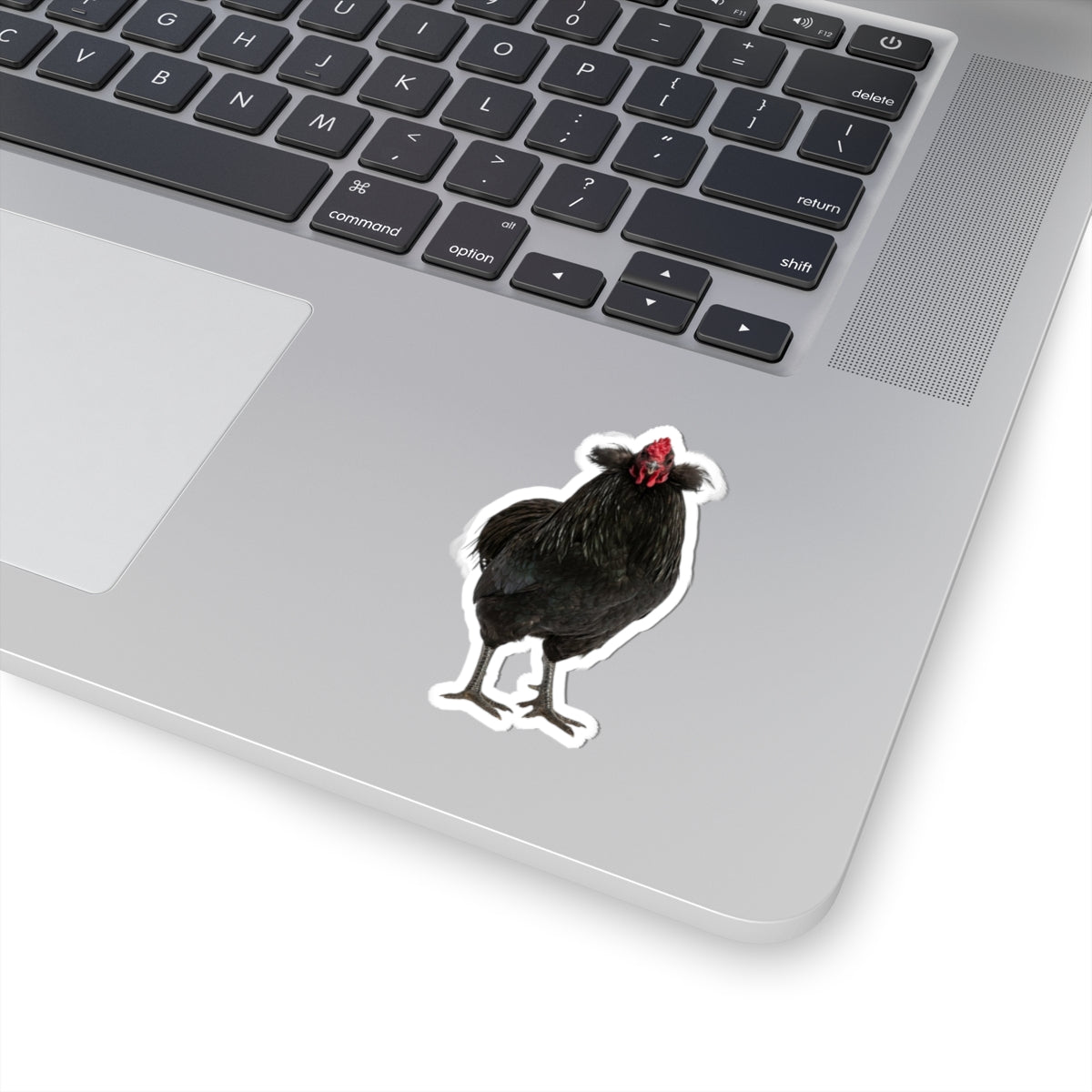Black Chicken Sticker — Realistic Hen Kiss-Cut Vinyl Decal for Laptops & Water Bottles
